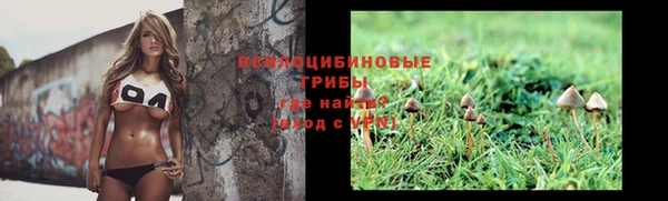 соль ск Абинск