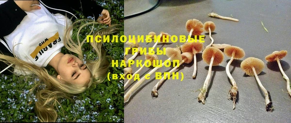 СК Абдулино