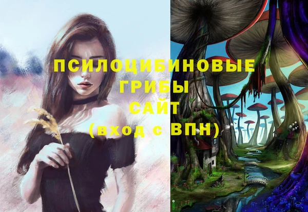 соль ск Абинск