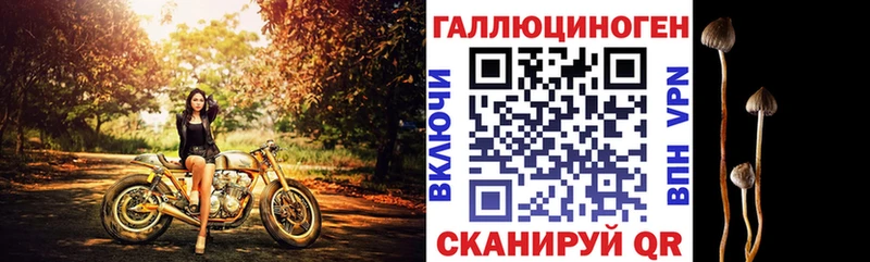 Псилоцибиновые грибы GOLDEN TEACHER  Янаул 